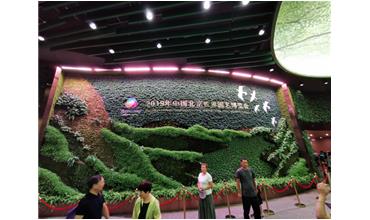 2019北京世園會，我們來啦